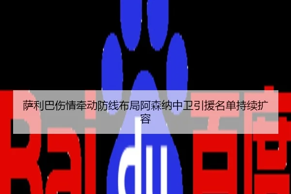 萨利巴伤情牵动防线布局阿森纳中卫引援名单持续扩容